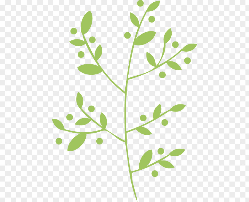 Singapore Vector Twig Plant Stem Leaf Gift Tags & Labels Clip Art PNG