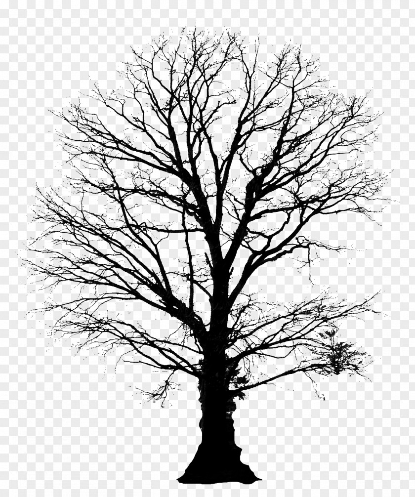 Snow Tree Clip Art PNG