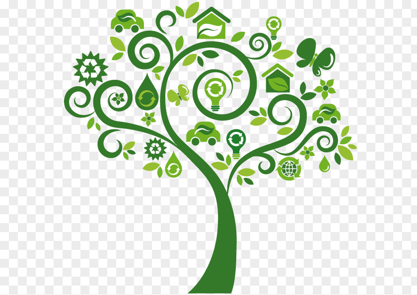 Spare Ecology Ecosystem Clip Art PNG