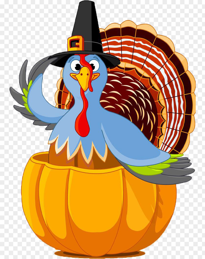 Thanksgiving Cartoon Turkey Decoration Public Holiday Day PNG