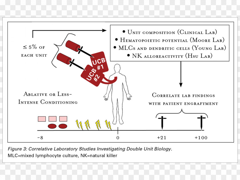 Design Document Line Angle PNG