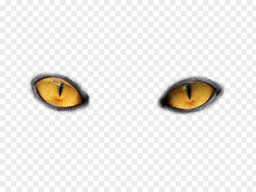 Eyes PNG Image Cat's Eye Light PNG