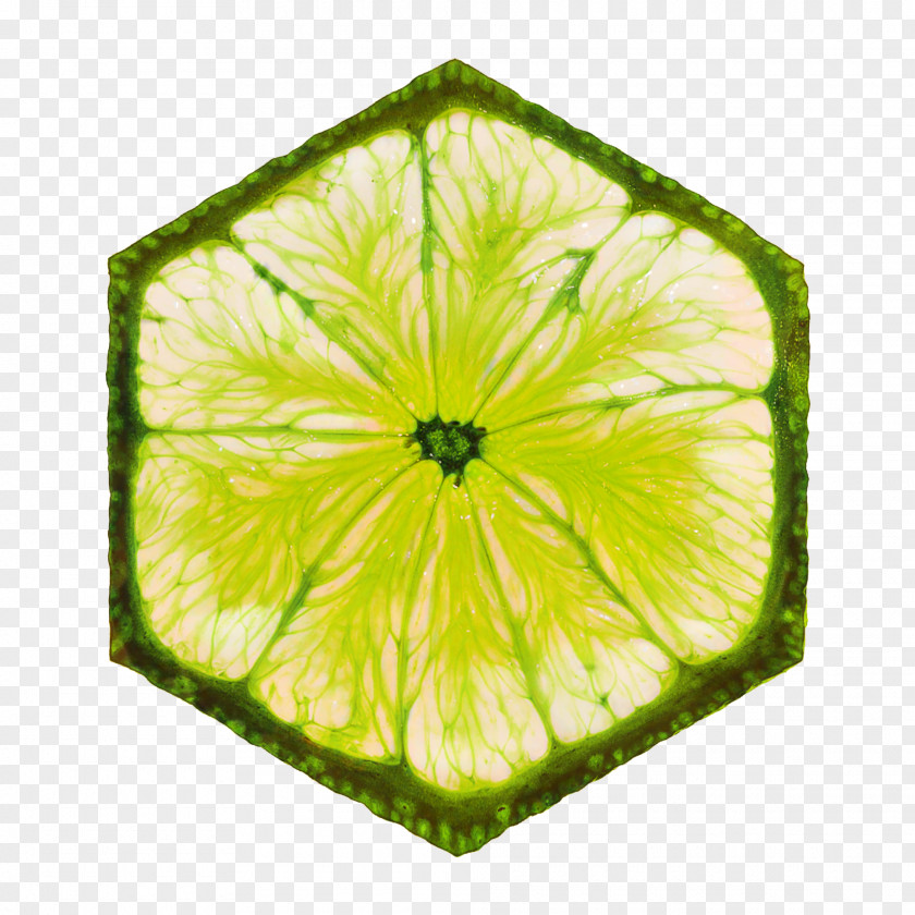 Fruit Lemon Green Leaf Background PNG