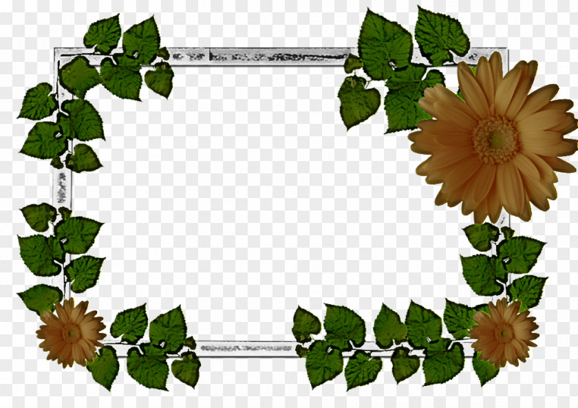 Fruit Tree PNG