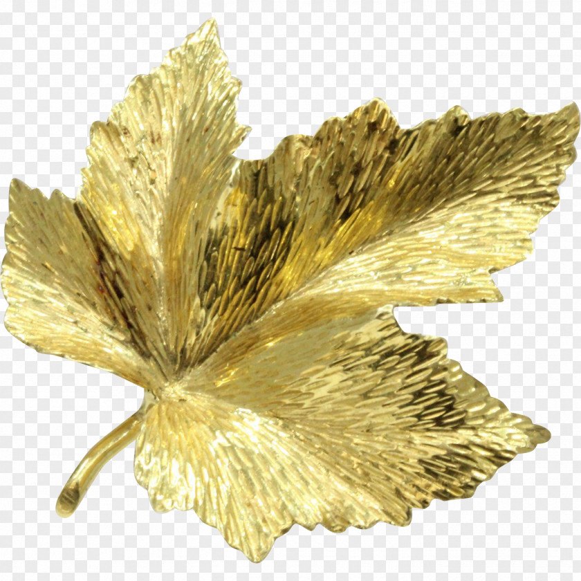 Gold Leaf Canada Brooch Maple PNG
