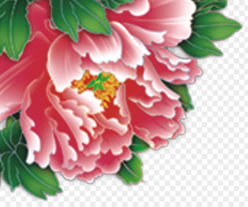 Peony Japanese Camellia Floral Design Carnation Petal PNG