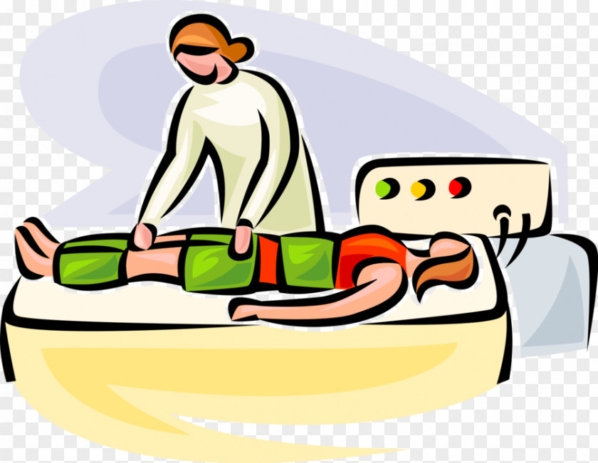 Physical Therapy Physiotherapist Health Professional Clip Art PNG