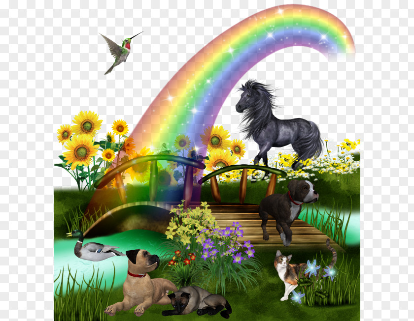 Rainbow Dream Zoo Muko Dec TIFF Clip Art PNG