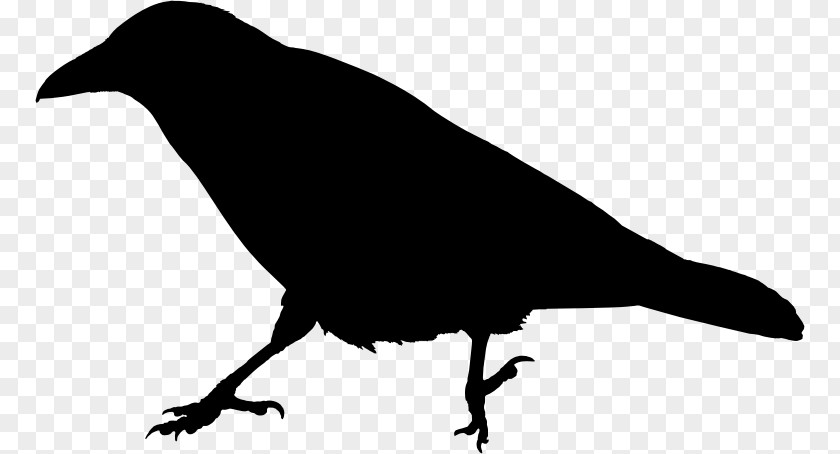 Raven Silhouette The Common Clip Art PNG