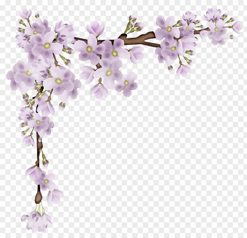 Red Bud Moth Orchid Blue Flower Borders And Frames PNG