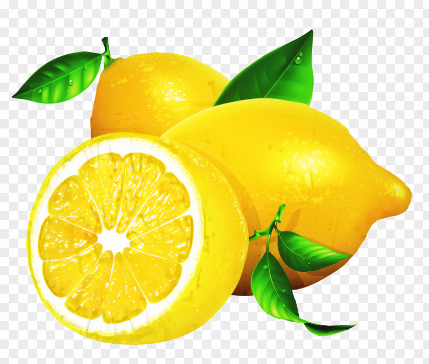 Sweet Lemon Key Lime Mandarin Orange PNG