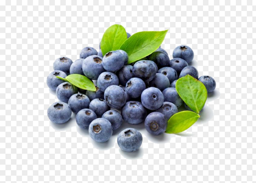 Blueberry Fruit Food Antioxidant Shrub PNG