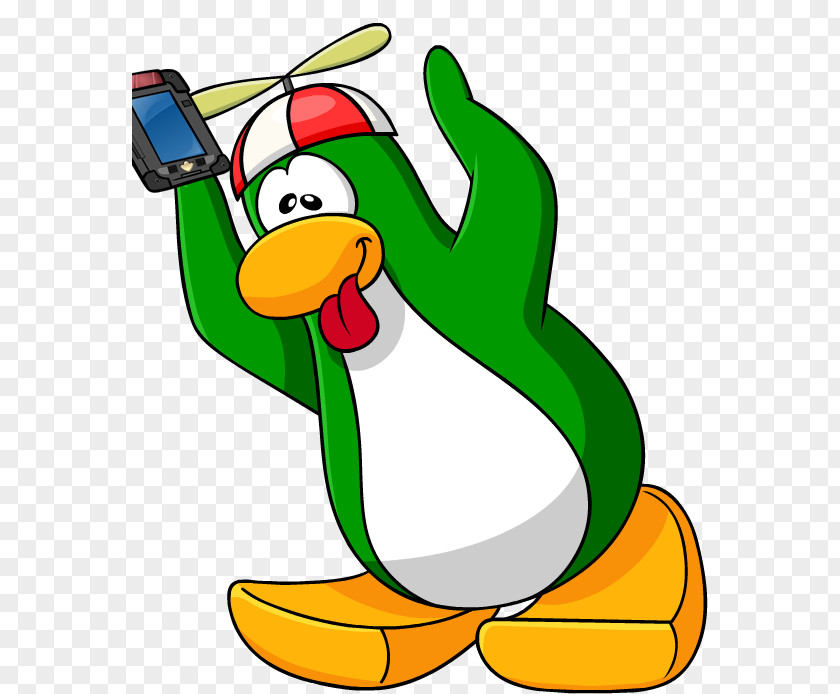 Goose Cygnini Duck Beak Clip Art PNG