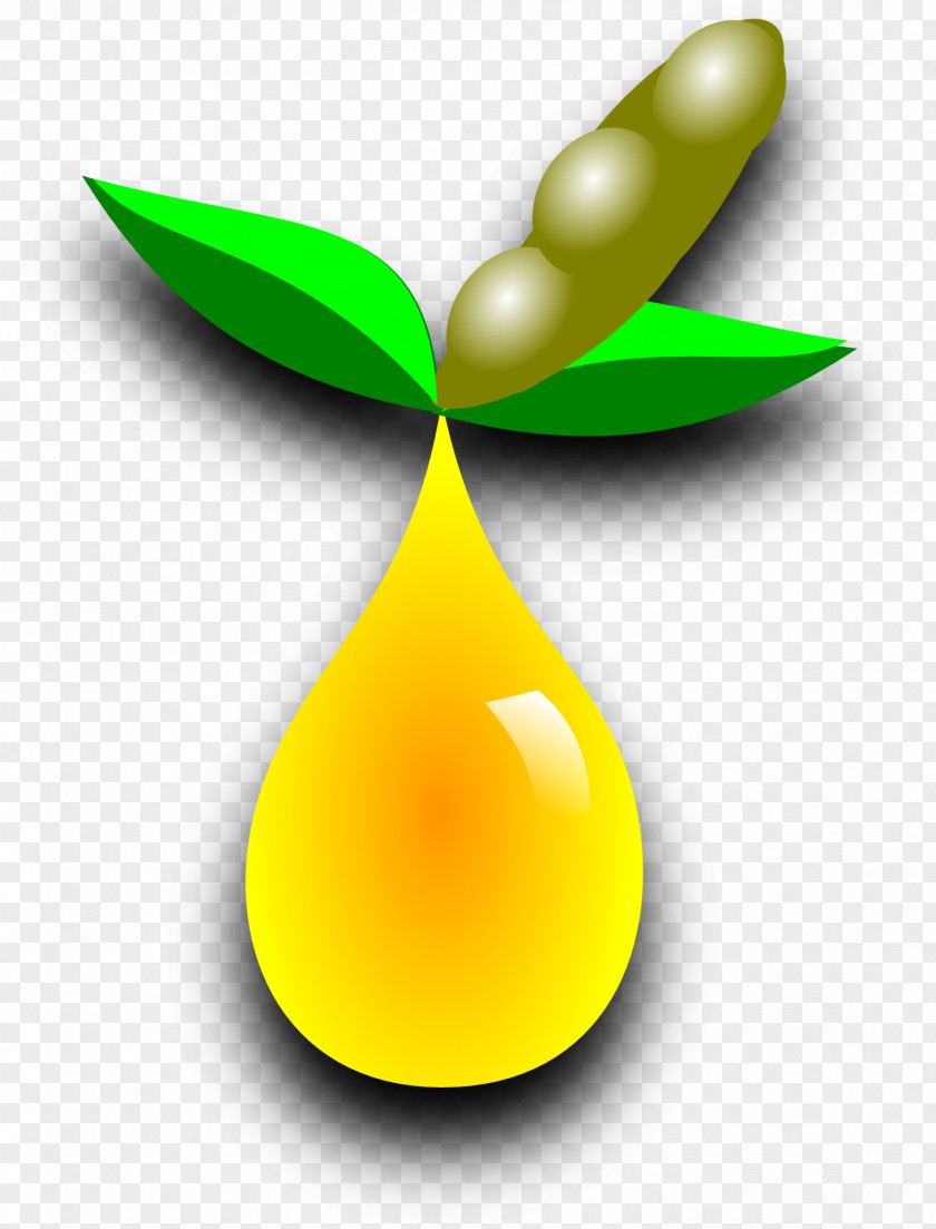 Ketupat Biofuel Biodiesel Clip Art PNG