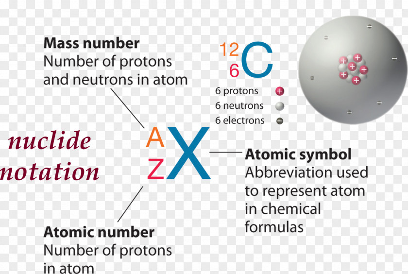 Nuclide Neutron Number Atomic Nucleus PNG