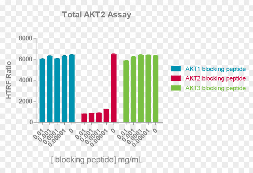 Pleckstrin Homology Domain Protein Kinase B AKT3 AKT2 MTOR PNG