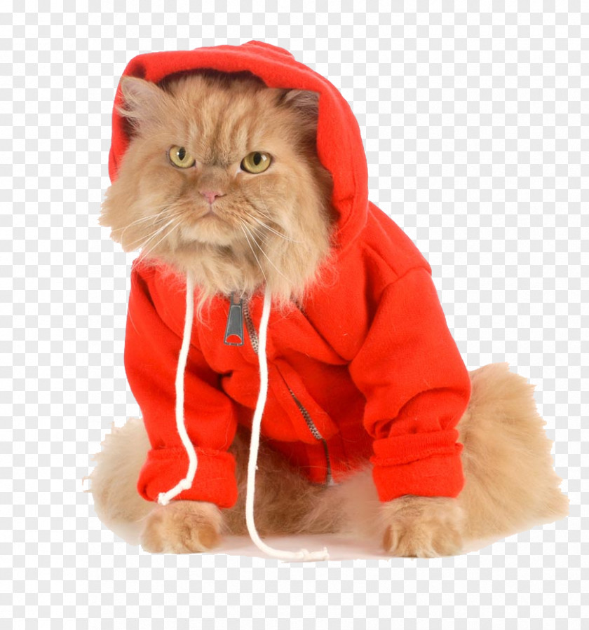 Red Dress Pet Cat Picture Material Hoodie Dog Stock Photography Coat PNG
