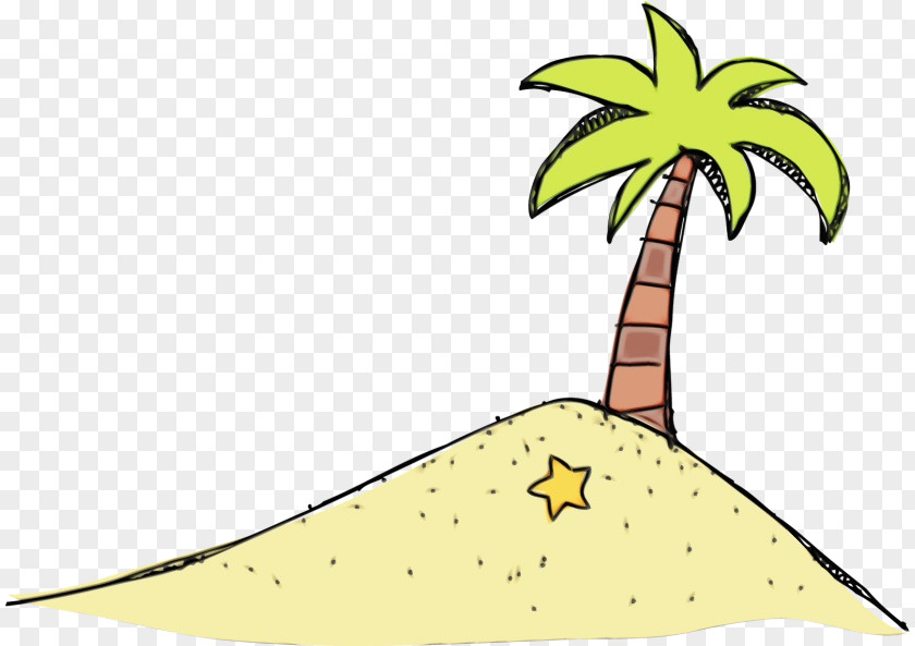Woody Plant Arecales Palm Tree PNG