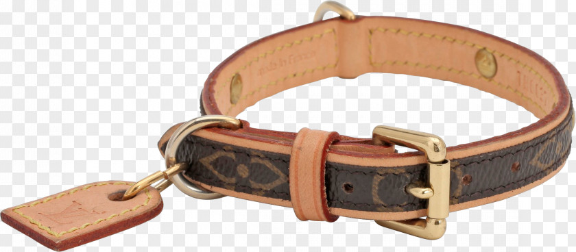 Belt Пояс Collar Strap Clip Art PNG