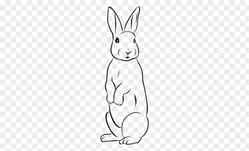 Bunny Drawing Sketch Domestic Rabbit Hare European PNG