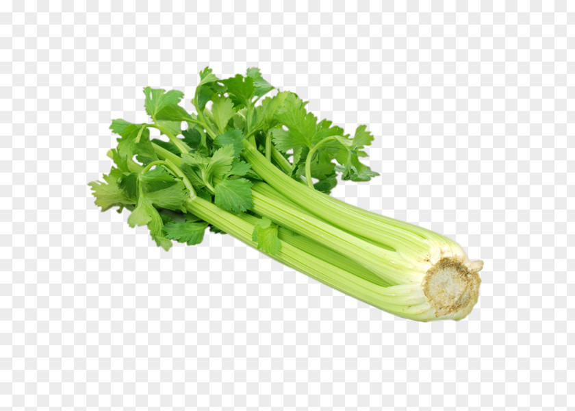 Grandma Celery Vegetable Chinese Cabbage Brussels Sprout PNG