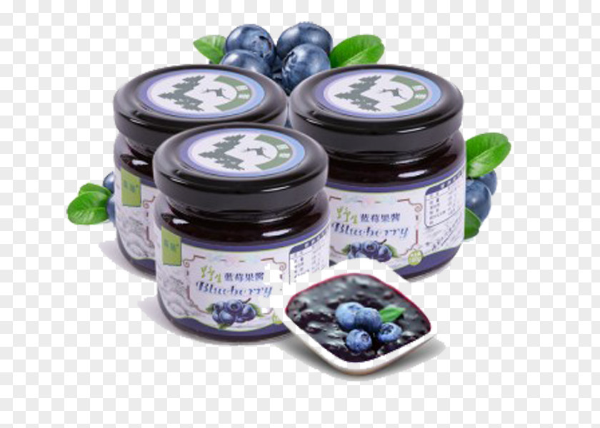 Blueberry Superfood Bilberry PNG