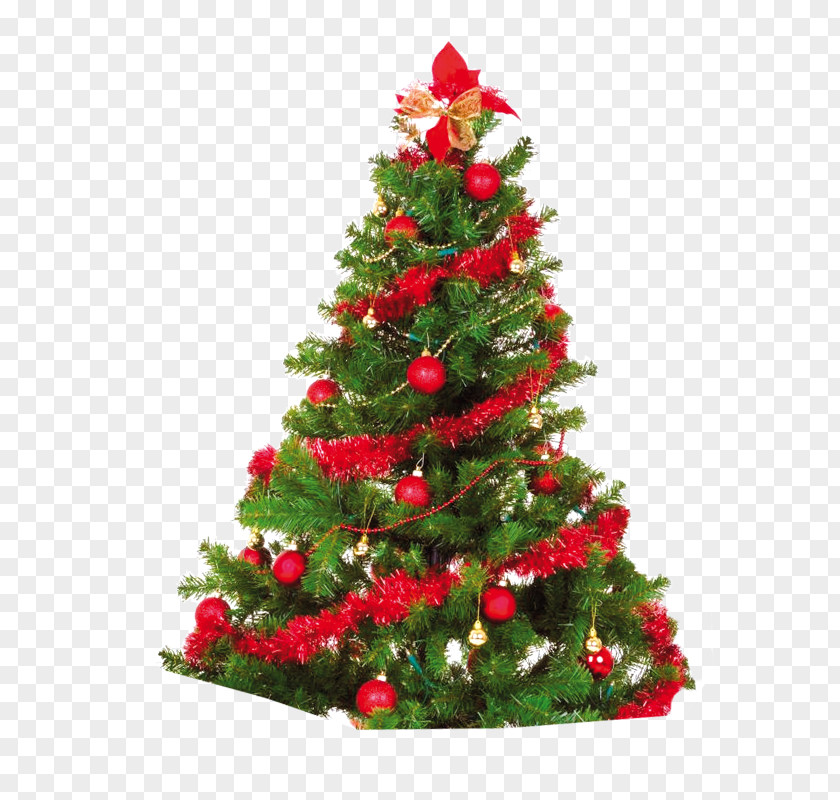 Christmas Tree Artificial Ornament PNG