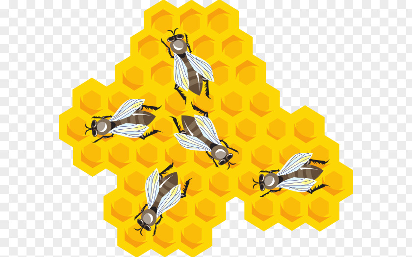 Honey Beehive Comb Beekeeping Hairstyle PNG