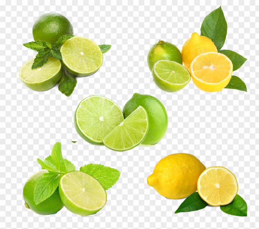 Lemon HQ Pictures Lemon-lime Drink Key Lime Fruit PNG