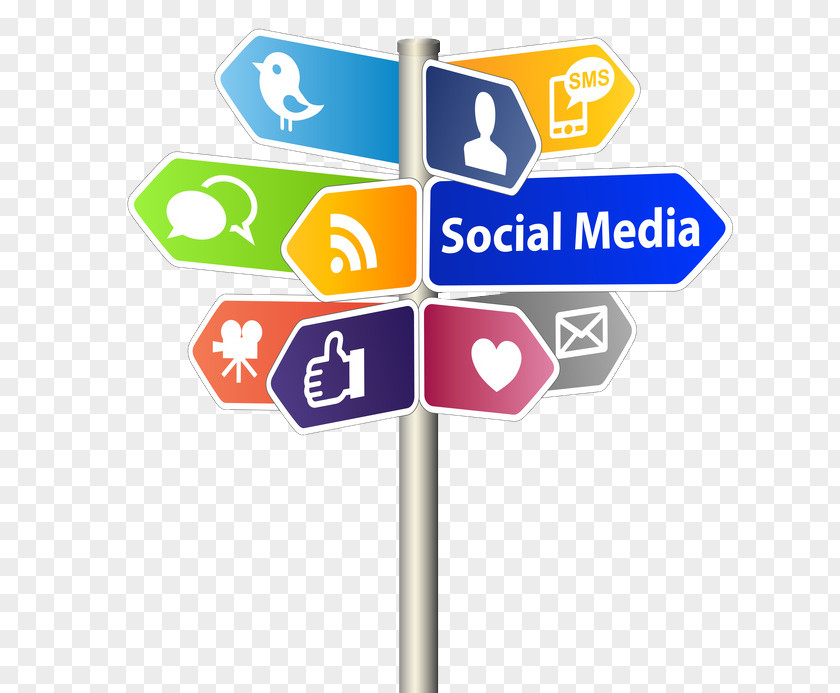 Marketing Social Media Social-Media-Manager Network Advertising PNG