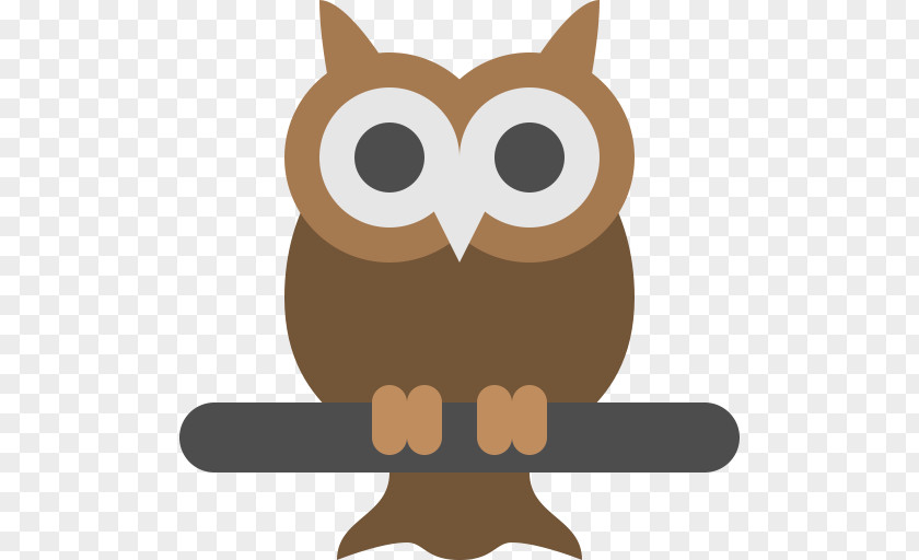 Owls Owl PNG