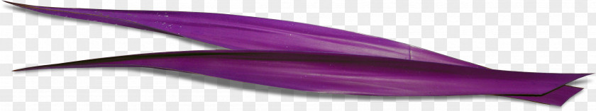Purple Grass Dolphin PNG