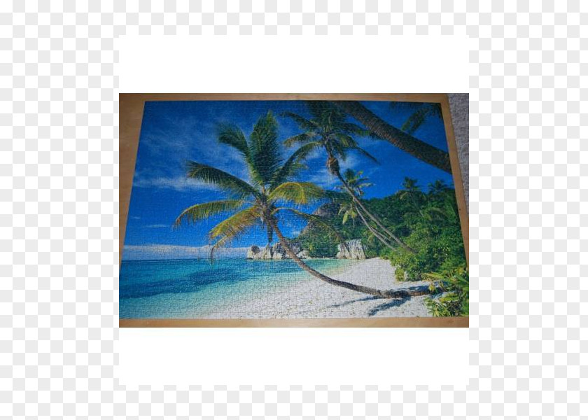 Puzzle Box Jigsaw Puzzles Seychelles Painting Acrylic Paint Picture Frames PNG