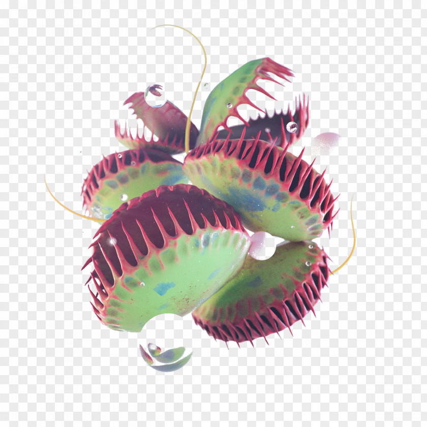 Venus Flytrap Graphic Design 3D Computer Graphics Illustration PNG