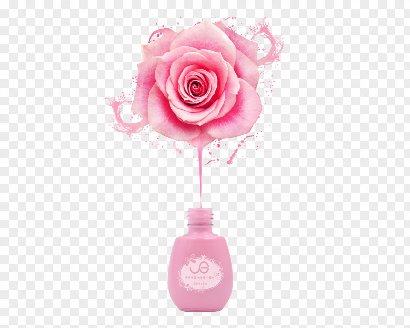 Creative Nail Polish Poster Pink Roses Rose If(we) Download Color PNG