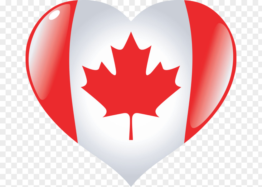 Flag Of Canada Vector Graphics Illustration PNG