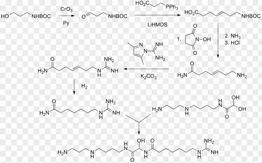 Gusperimus Chemical Synthesis Collins Reagent Interleukin-2 Immunosuppressive Drug PNG