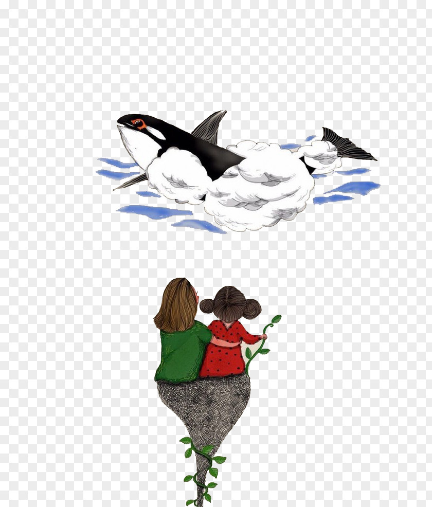 Killer Whale Illustration PNG