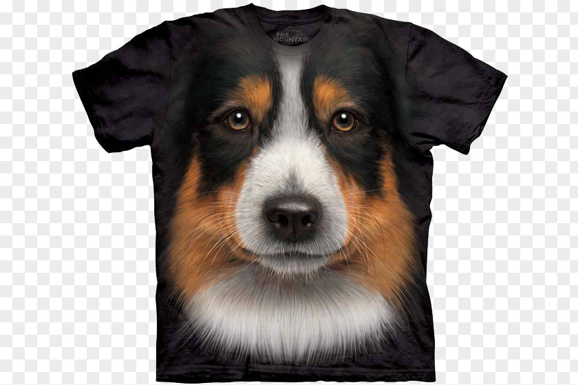 Pastor Australiano Bernese Mountain Dog Australian Shepherd T-shirt Border Collie PNG