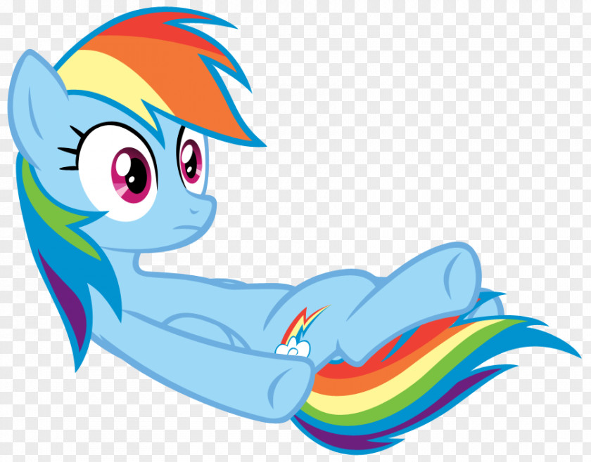 Rainbow Dash Fluttershy Rarity Pony Pinkie Pie PNG