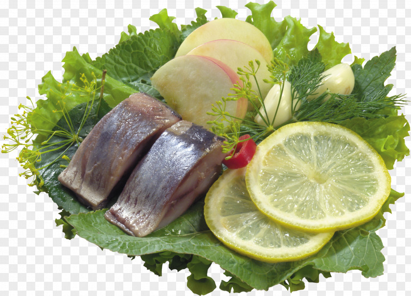 Seafood Dressed Herring Soused Clupea Fish PNG