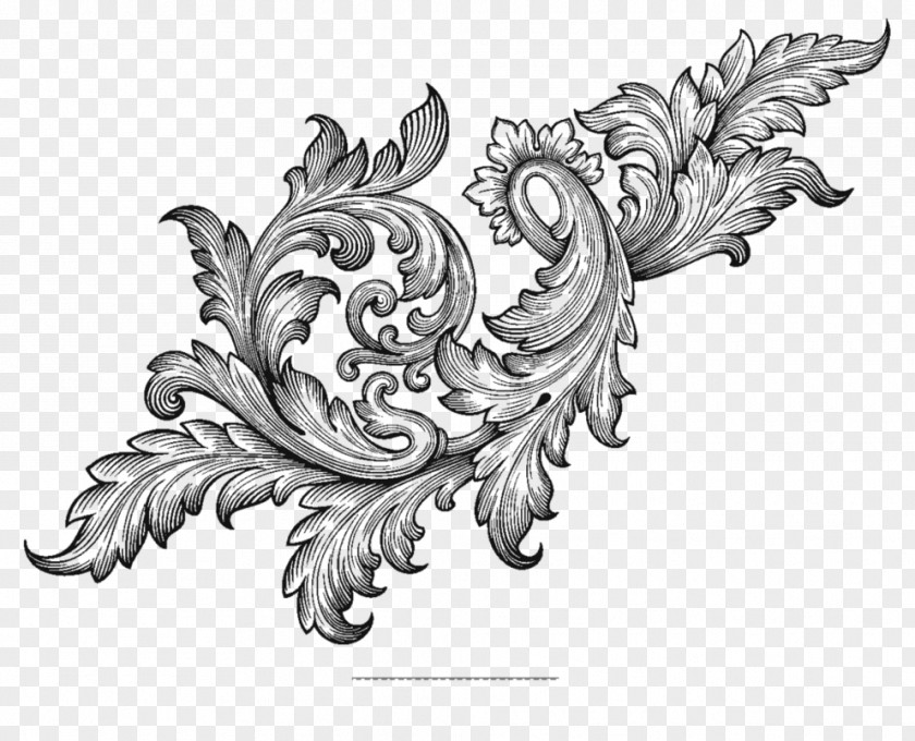 Baroque Ornament Scroll Acanthus PNG