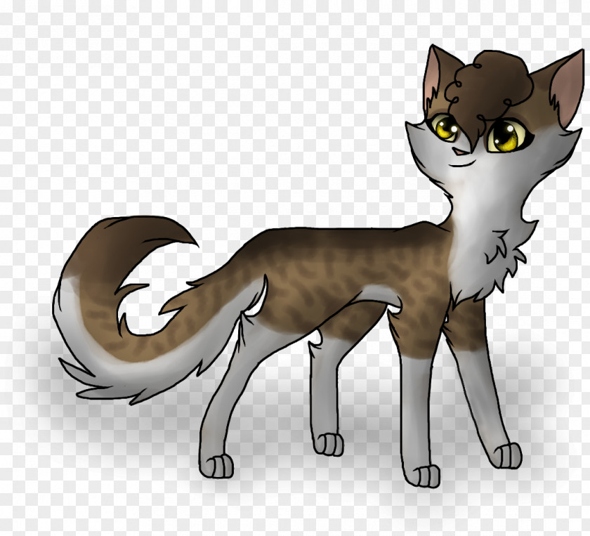 Cat Whiskers Digital Art Drawing PNG
