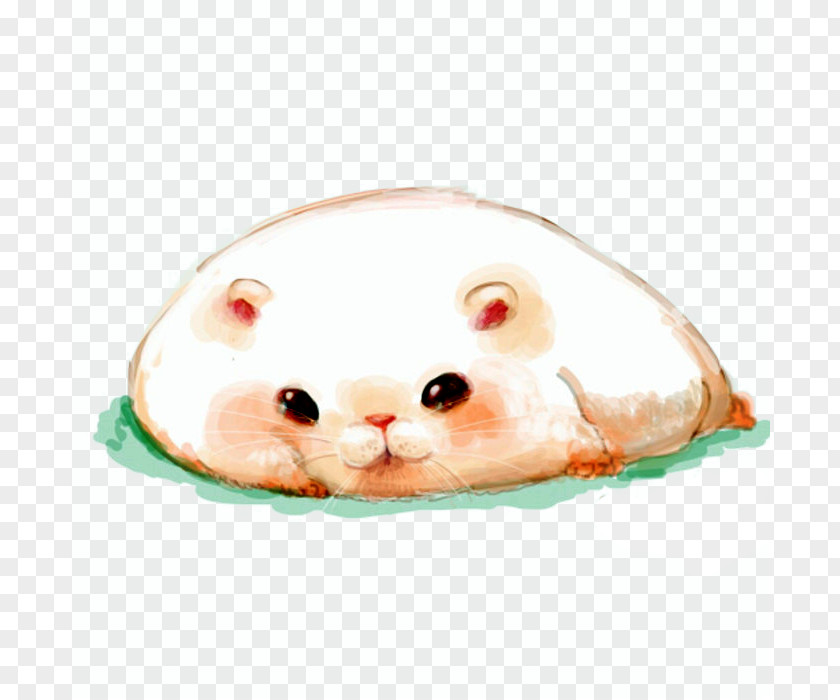 Fat Rat Hamster Mouse Kitten Whiskers PNG