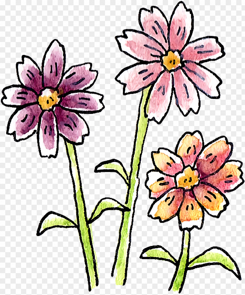 Floral Design PNG