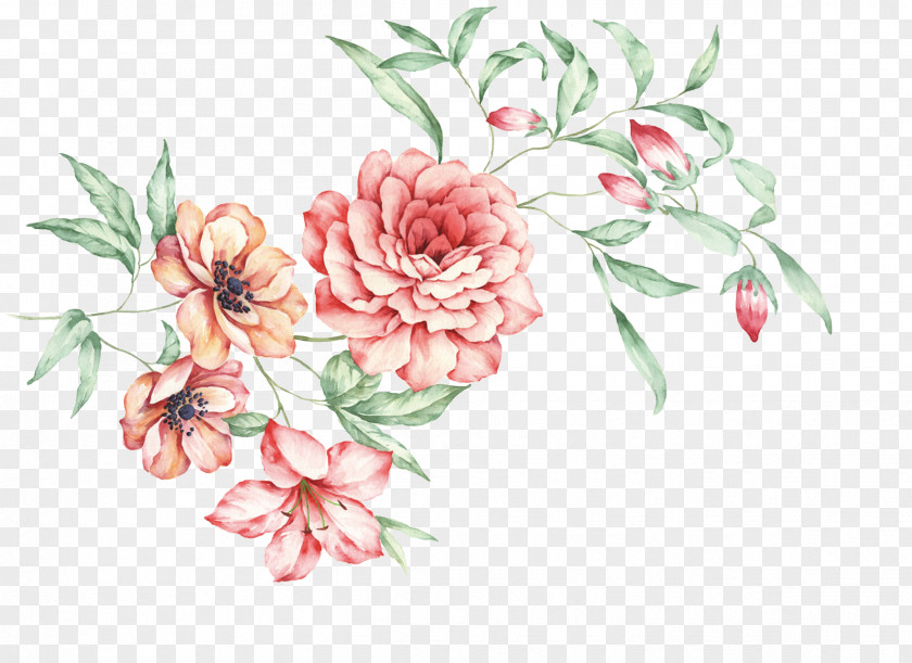 Hand-painted Chinese Peony China Floral Design Moutan PNG