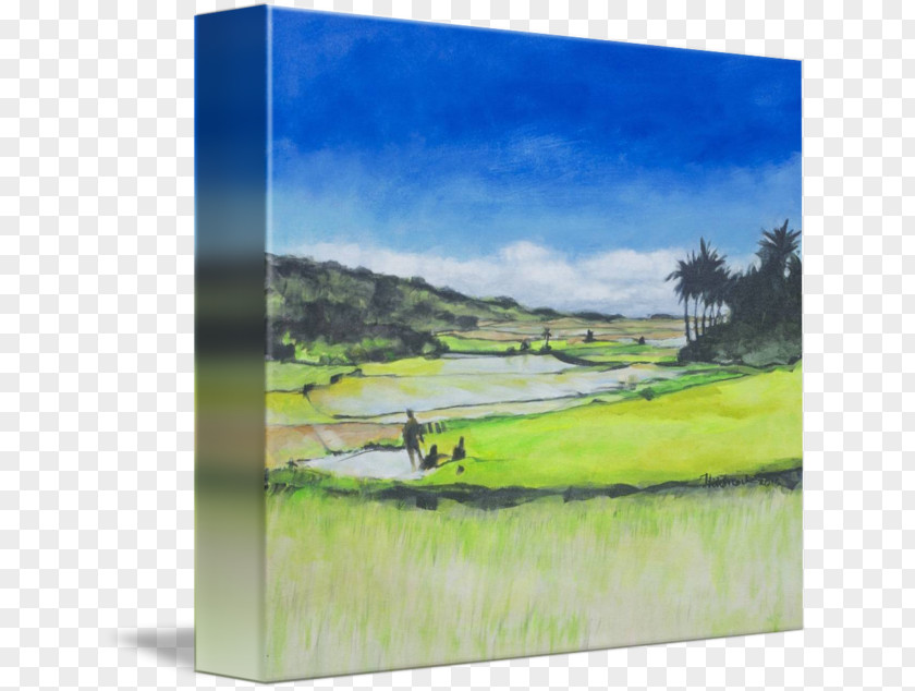 Painting Watercolor Land Lot Picture Frames Energy PNG
