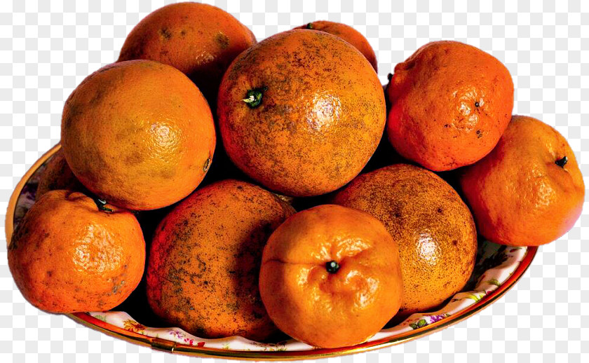 Rangpur Ugli Fruit Superfood Tangerine Mandarin Orange Winter Squash PNG