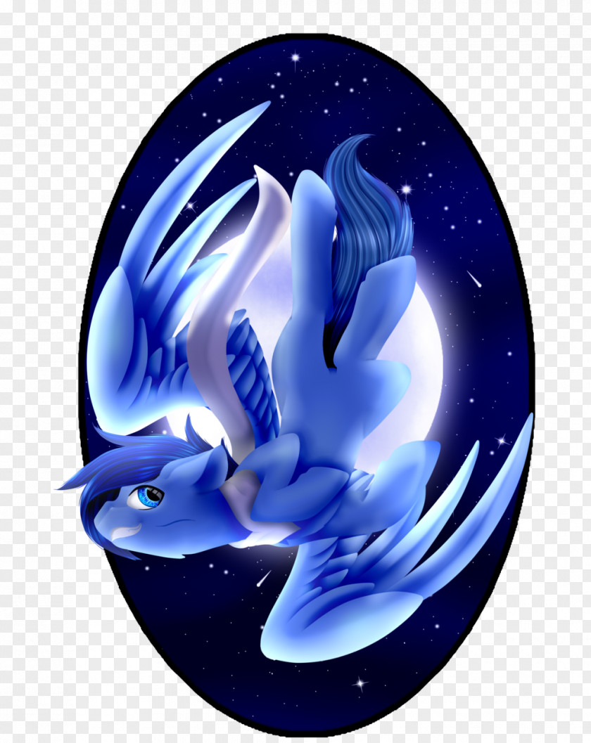 Dolphin Cobalt Blue Marine Biology Desktop Wallpaper PNG