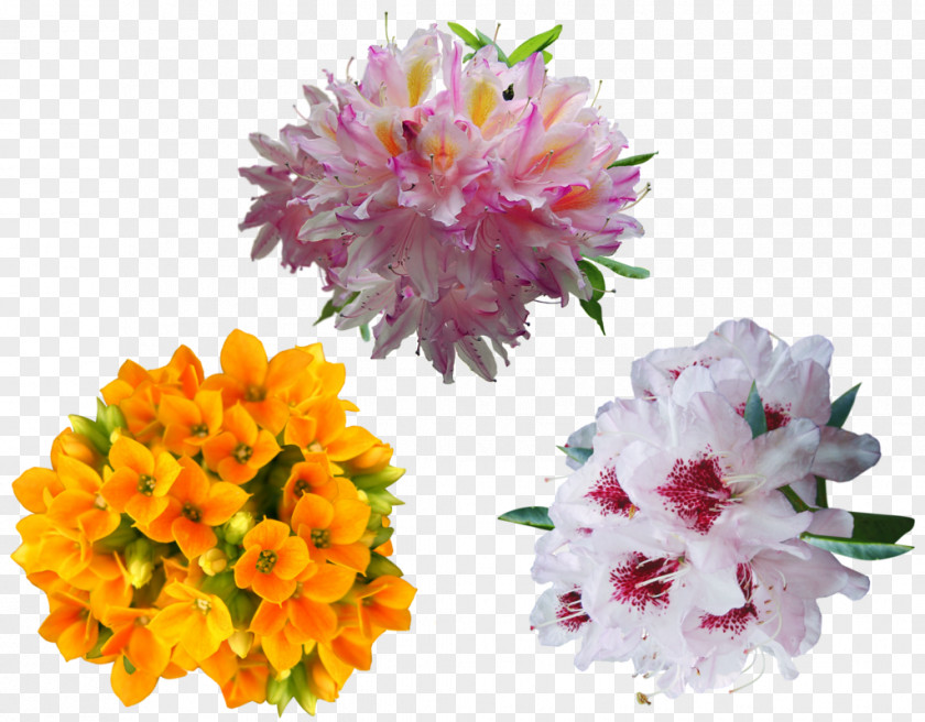 Flower Shrub Cut Flowers Image PNG